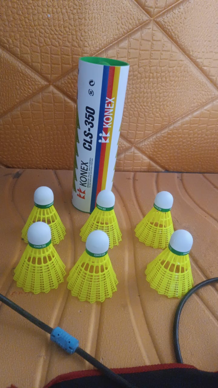 Set of six durable Wukusy feather shuttlecocks for toys and outdoor games, with natural feathers and sturdy construction.