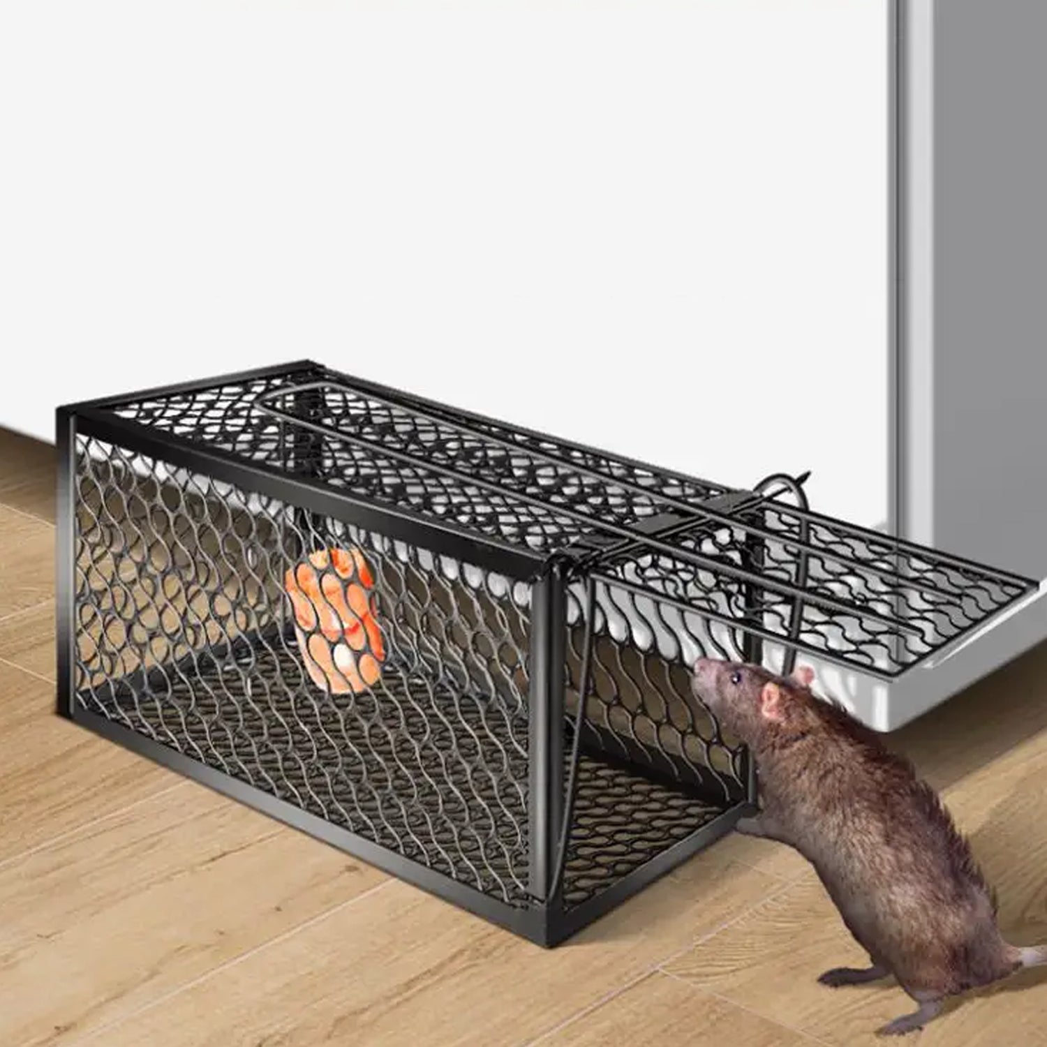 Wukusy 0365 foldable squirrel and mouse trap with metal cage for live animal catch and release, compact and easy to use.