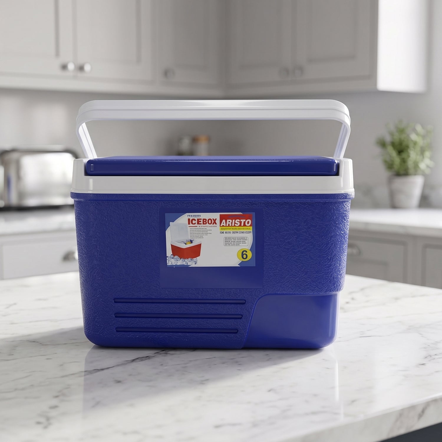 Blue Wukusy 6L portable insulated ice cooler box with carry handle for keeping drinks cold on the go.