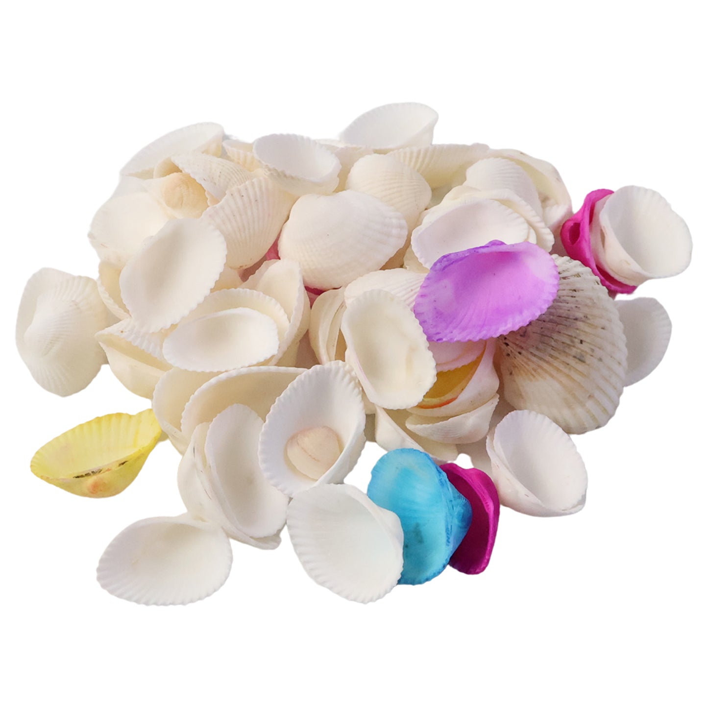 Set of decorative seashells from Wukusy, featuring various natural shells perfect for home decor or craft projects.