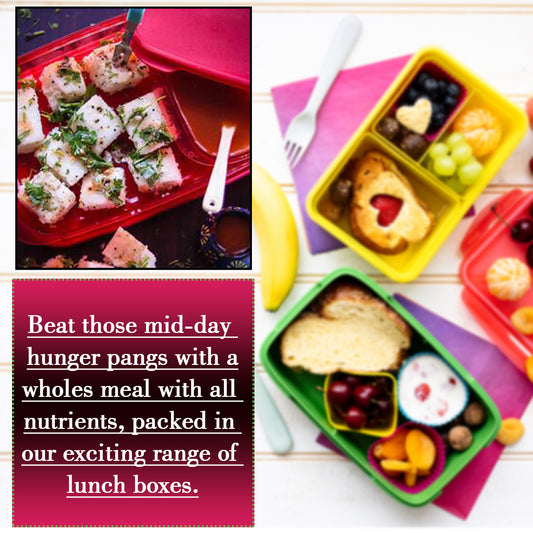 Wukusy 2879 Seal Rectangular Lunch Box with two containers, featuring secure lids and durable plastic design for meal storage