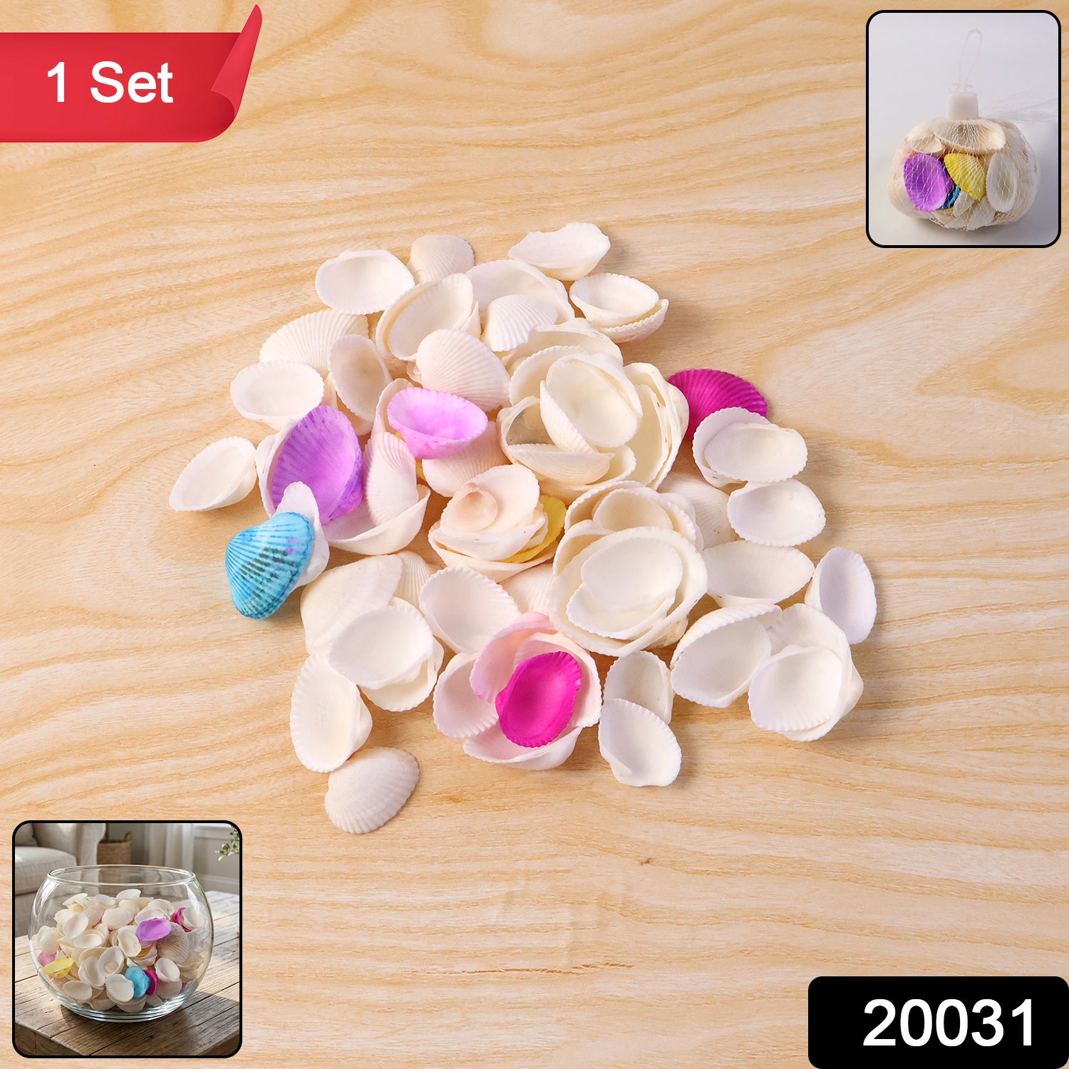 Wukusy decorative seashells set featuring various natural seashells with intricate textures and colors, ideal for coastal decor.