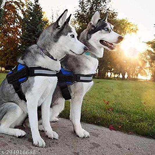 Black and blue nylon dog body harness with adjustable straps, designed for comfort and safety in pet wear.