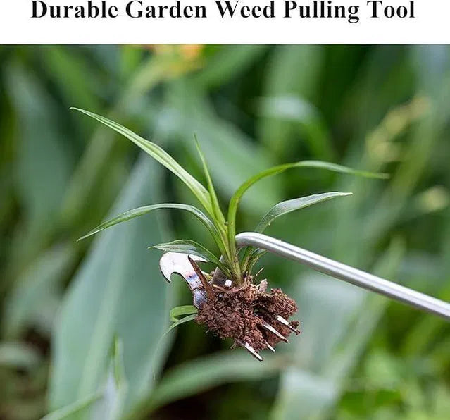 Sharp weeding tool from the 25560 gardening tools collection, designed for effective plant removal in the garden.