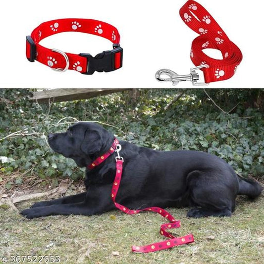 Multicolor pet neck collar belt made of 0.15 mm material, suitable for pets, shown in the image with adjustable design.