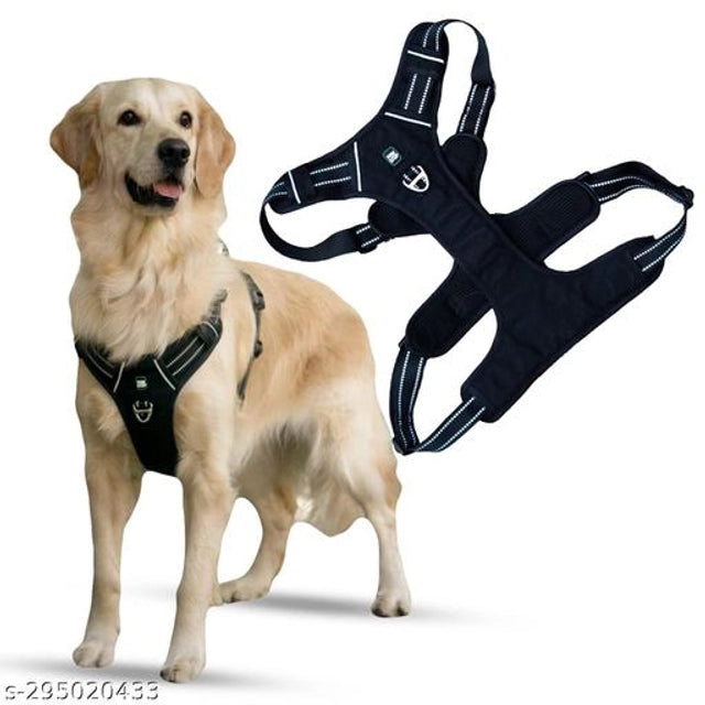 Colorful nylon dog harness from 15929, featuring adjustable straps and sturdy construction for pet comfort and security.
