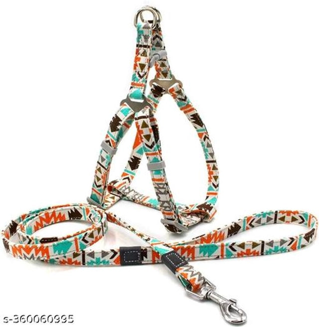 Multicolor nylon dog harness from 15929, designed for pet comfort and control, shown on a dog in a natural setting.