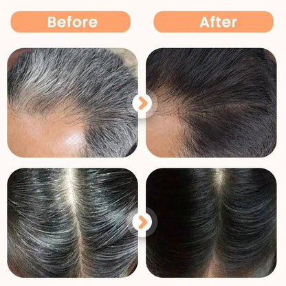 Two 200ml bottles of 1238 Plant Extract Hair Dye for Gray Hair with hair combs, showing the product bottles and combs on a white background.