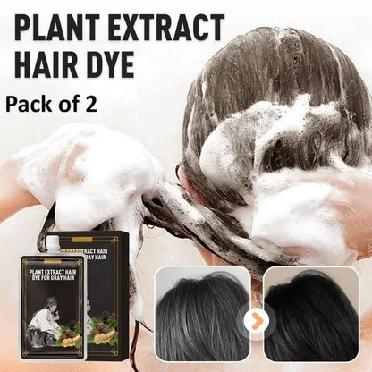Two 200 ml bottles of 1238 Plant Extract Hair Dye for gray hair with hair combs, showing the product packaging and combs.