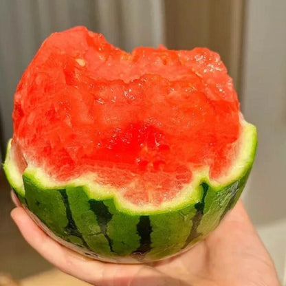 Ruby Watermelon Basil Seeds from 205 brand, showing small, round watermelon basil seeds in clear packaging.