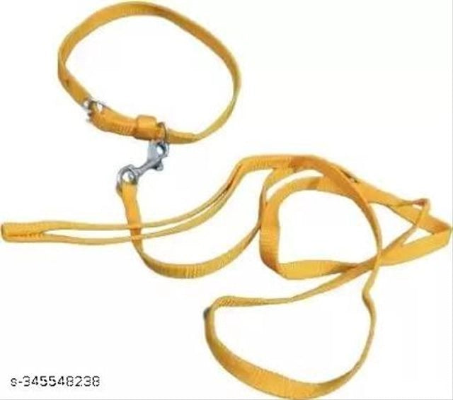 Colorful pet collar belt with 5-foot leash for small pets, featuring adjustable fit and durable materials.