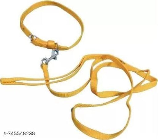 Colorful pet collar belt with 5-foot leash for small pets, featuring adjustable fit and durable materials.