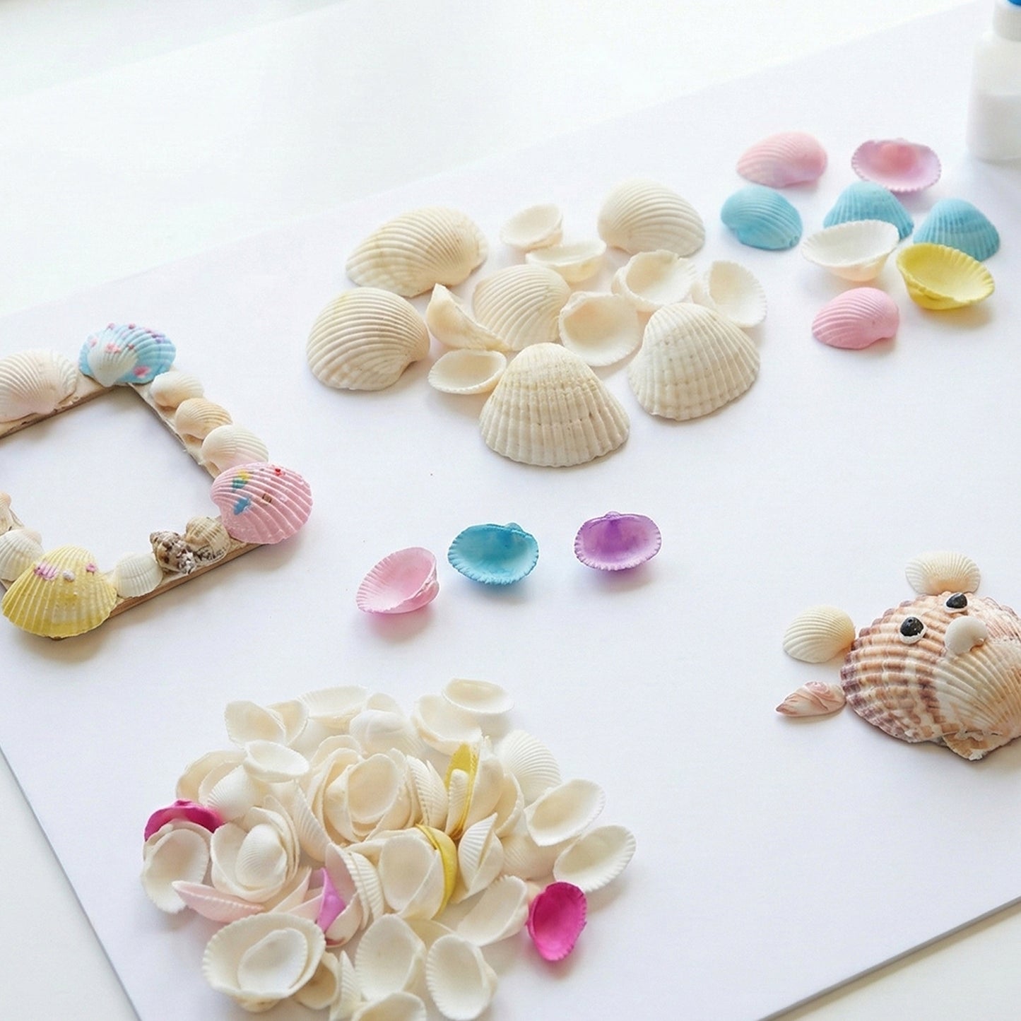 Set of decorative seashells by Wukusy, featuring various natural shells perfect for home decor or craft projects.