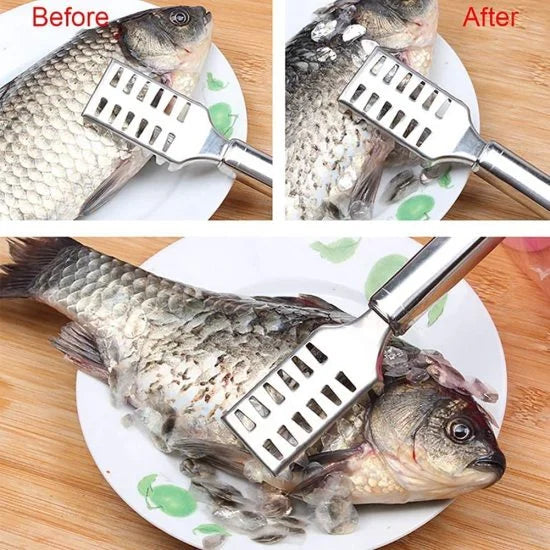 FIZZI SHOP fish scale remover scraper with stainless steel blade and ergonomic handle for easy fish cleaning.