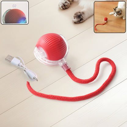 Wukusy rechargeable interactive cat toy ball with LED light, detachable braided tail, designed for playful cats.