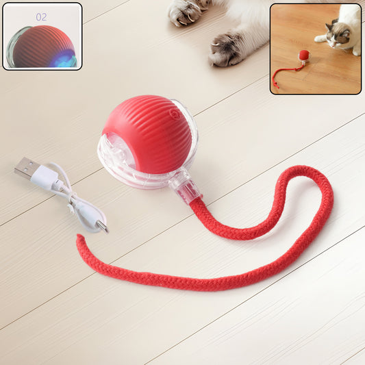 Wukusy rechargeable interactive cat toy ball with LED light, detachable braided tail, designed for playful cats.