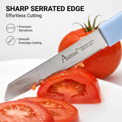 Wukusy 12-piece stainless steel kitchen knife set with plastic handles, includes knives for vegetables and fruits