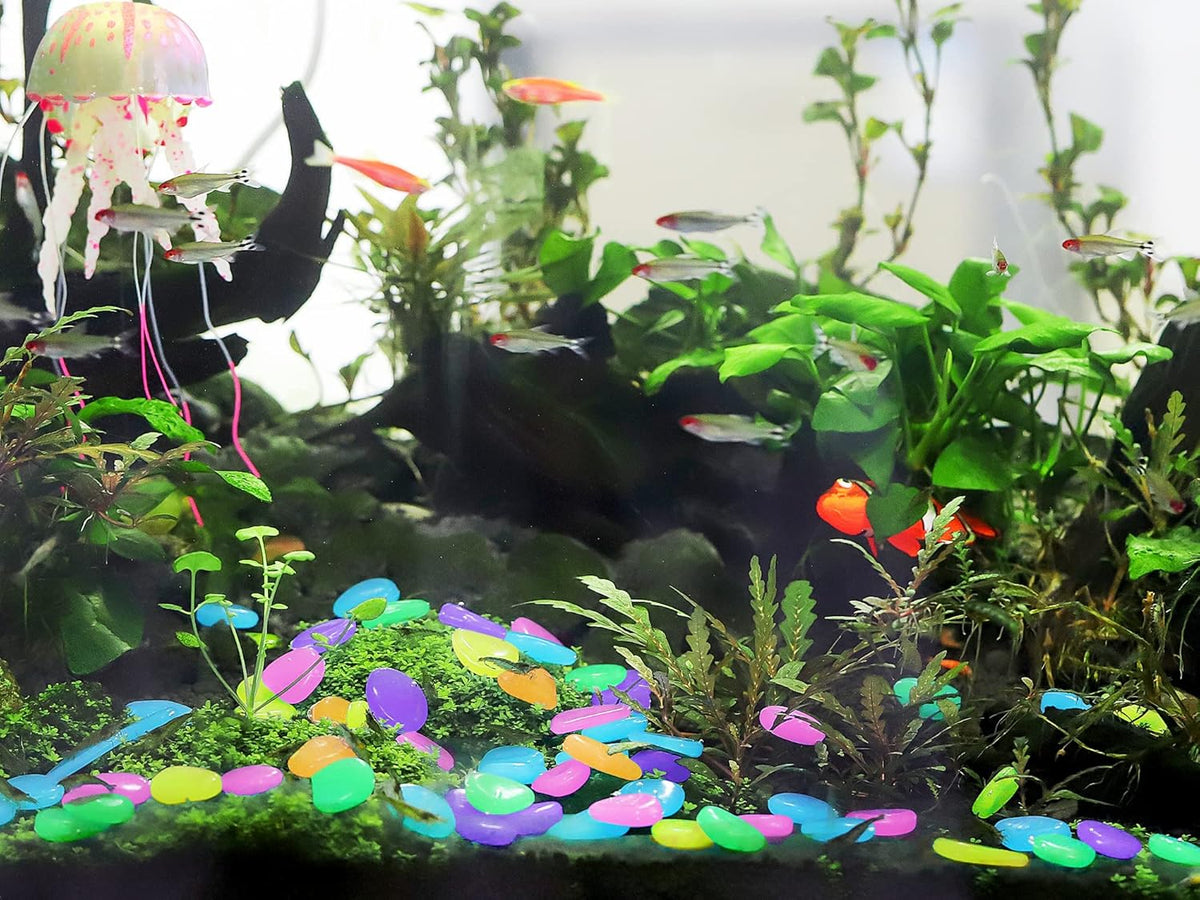 Set of 160 Drpshippr luminous stones glowing in dark for outdoor garden decor and fish tank decoration.