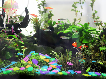 Set of 160 Drpshippr luminous stones glowing in dark for outdoor garden decor and fish tank decoration.
