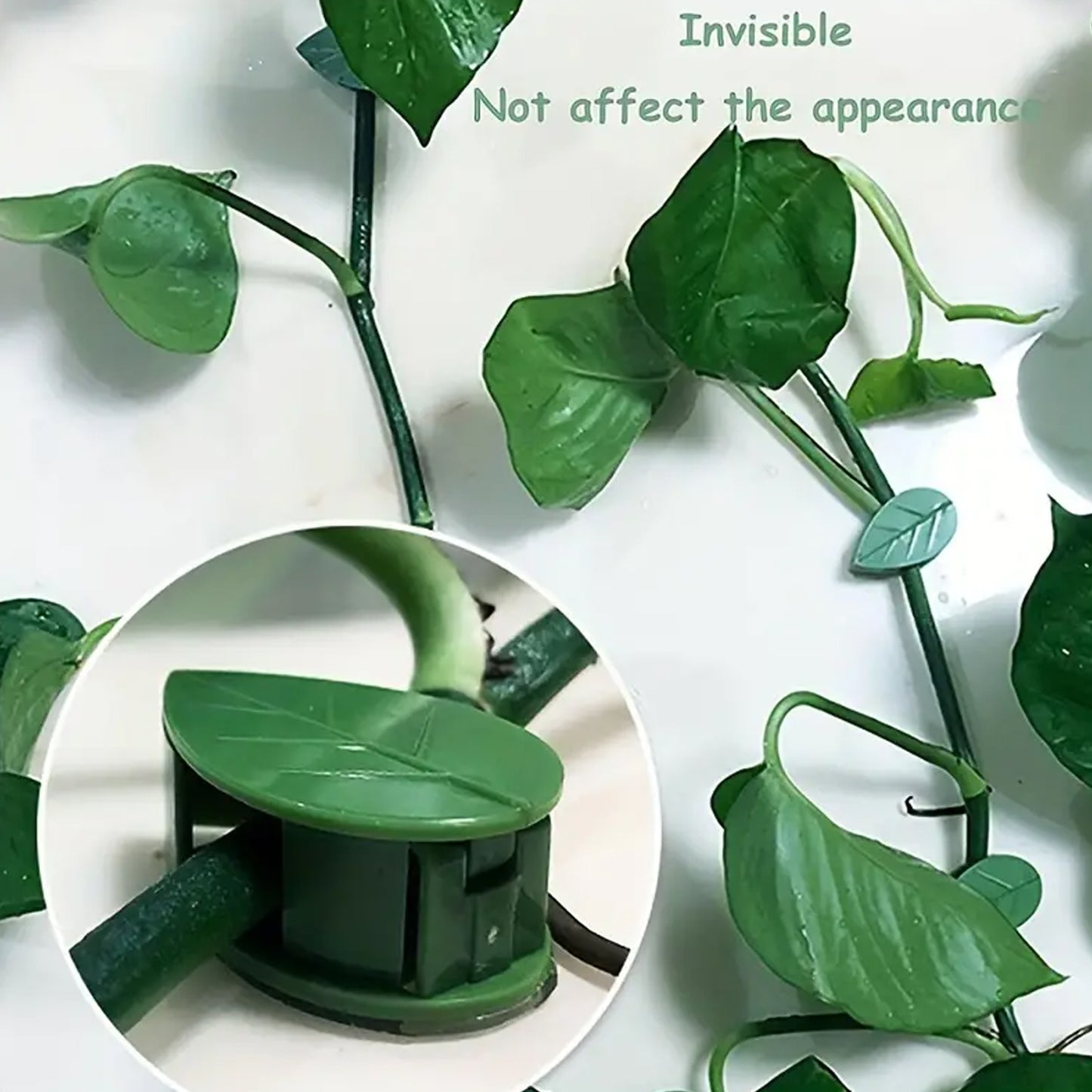 Wukusy plant climbing wall fixture clip set with self-adhesive hooks for green vines and indoor outdoor plant support, 10 pcs.