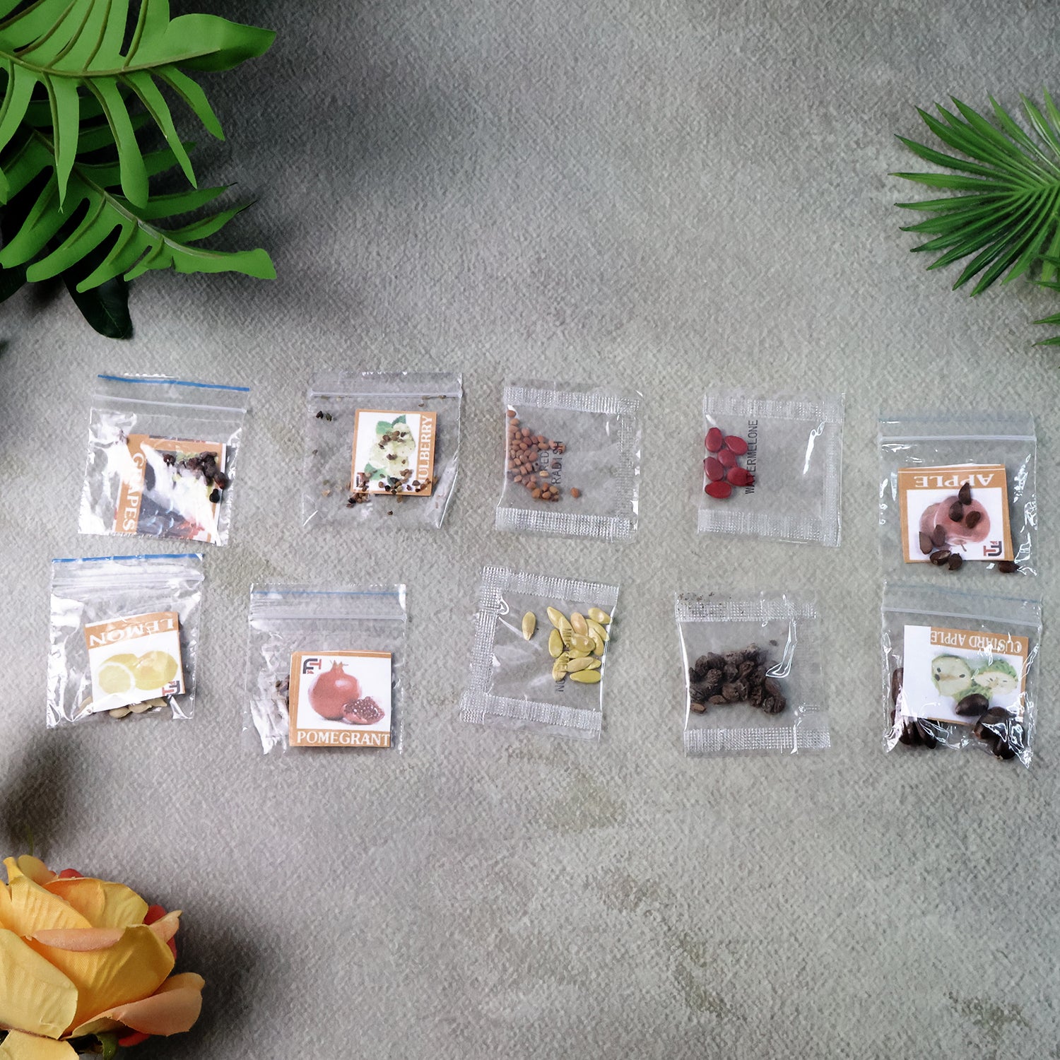 Wukusy fruit seeds combo pack with 10 different seed varieties for home gardening and planting purposes.