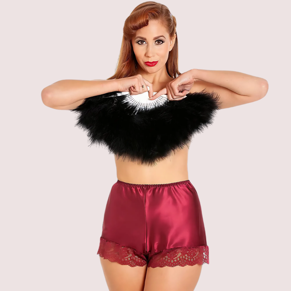 Assorted lace French knickers from Snazzyway, timeless elegance 2-pack, in pastel and neutral colors, soft and comfortable fit.