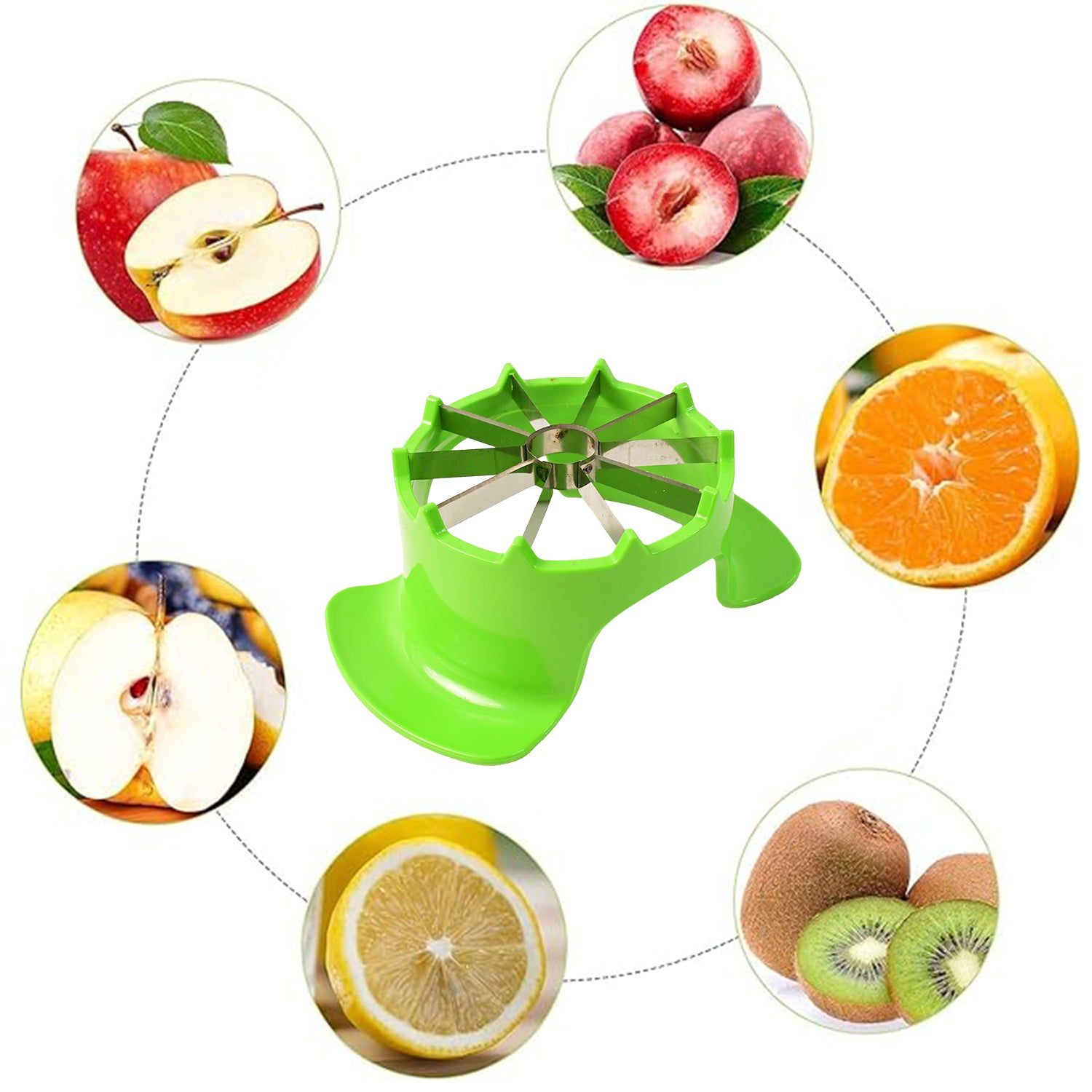 Wukusy Apex Apple Cutter with container, unbreakable ABS body, stainless steel blades, designed for easy apple slicing in home kitchen.