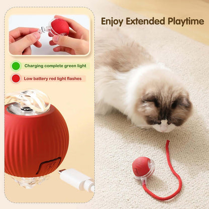 Rechargeable interactive cat toy ball by Wukusy with LED light, detachable braided tail, designed to entertain cats.