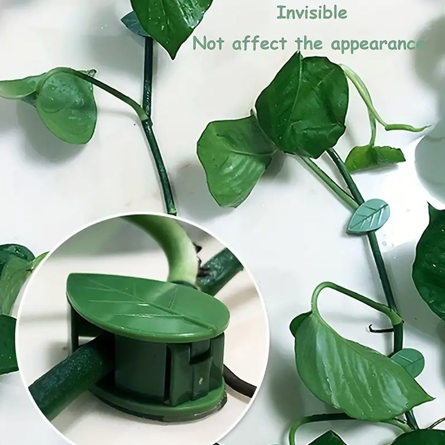 Set of 30 Wukusy green leaf plant clips for indoor outdoor garden wall support, self-adhesive, invisible, ideal for climbing vine traction.