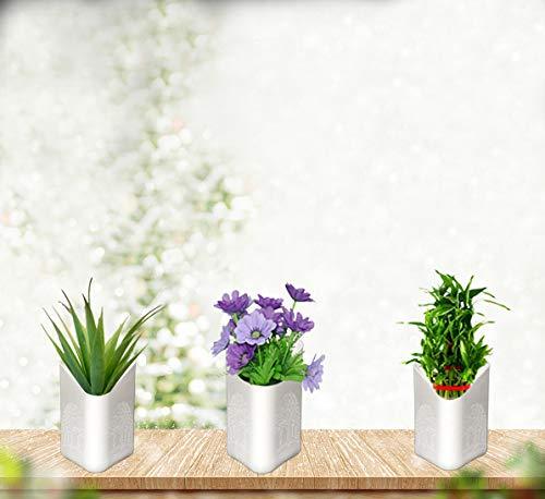 Colorful Wukusy plastic vertical hanging planter pot for garden use, featuring multiple vibrant colors and a durable design.