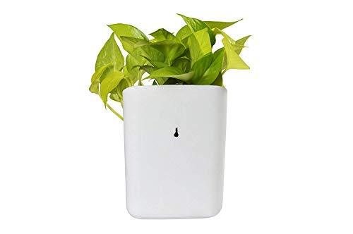 Colorful plastic vertical hanging planter pot for garden from Wukusy, featuring multiple vibrant colors and a durable design.