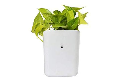 Colorful plastic vertical hanging planter pot for garden from Wukusy, featuring multiple vibrant colors and a durable design.