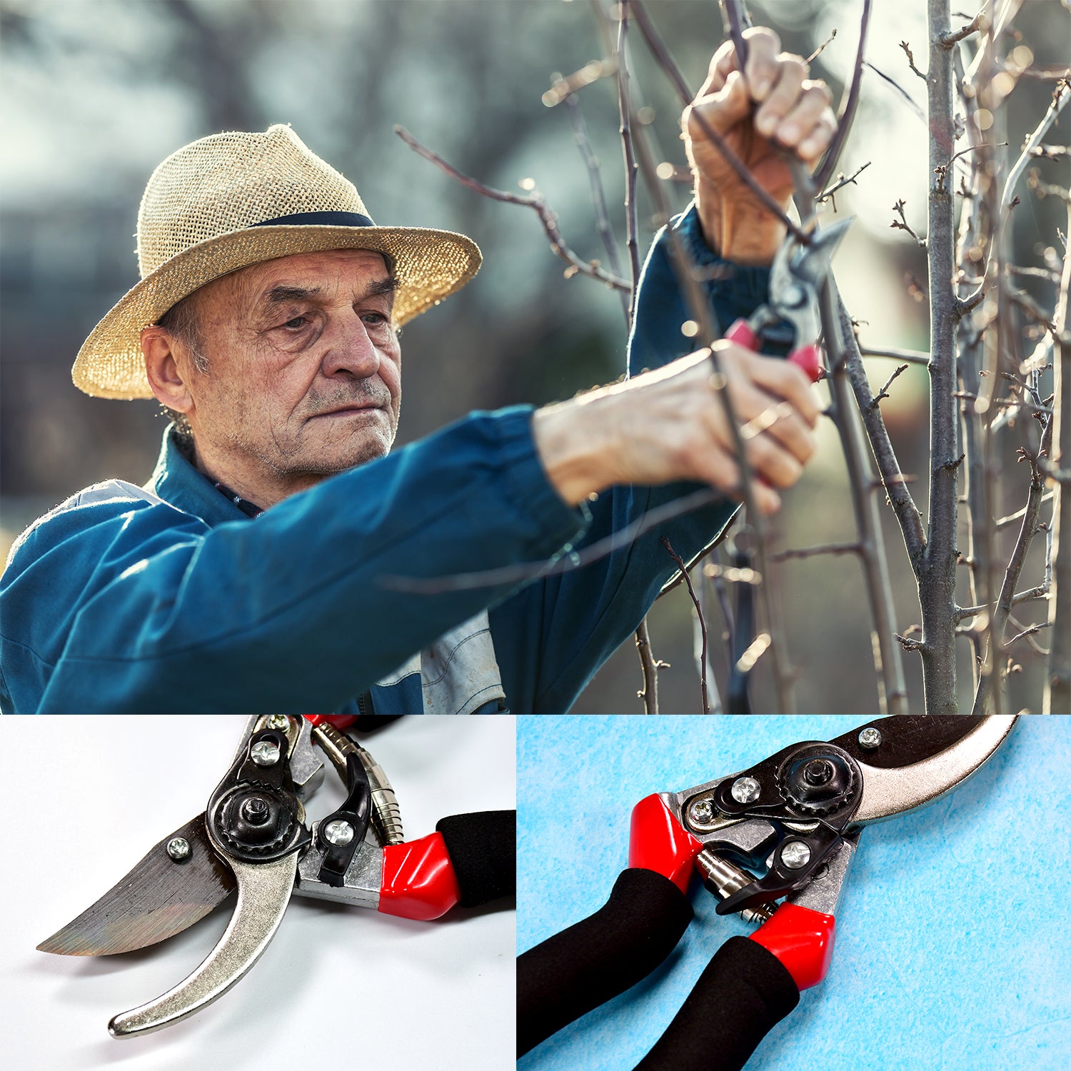 Red Wukusy garden shears with 21cm sharp blades, ideal for pruning and cutting plants in the garden.