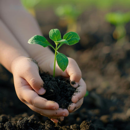 Organic Vermicompost Black Soil by Wukusy for garden plants, showing rich, dark compost ideal for healthy plant growth.
