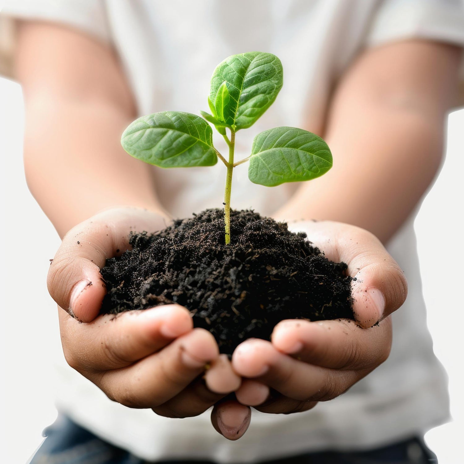 Organic vermicompost black soil for garden plants by Wukusy, 1 kg, rich manure for healthy plant growth and soil nourishment.