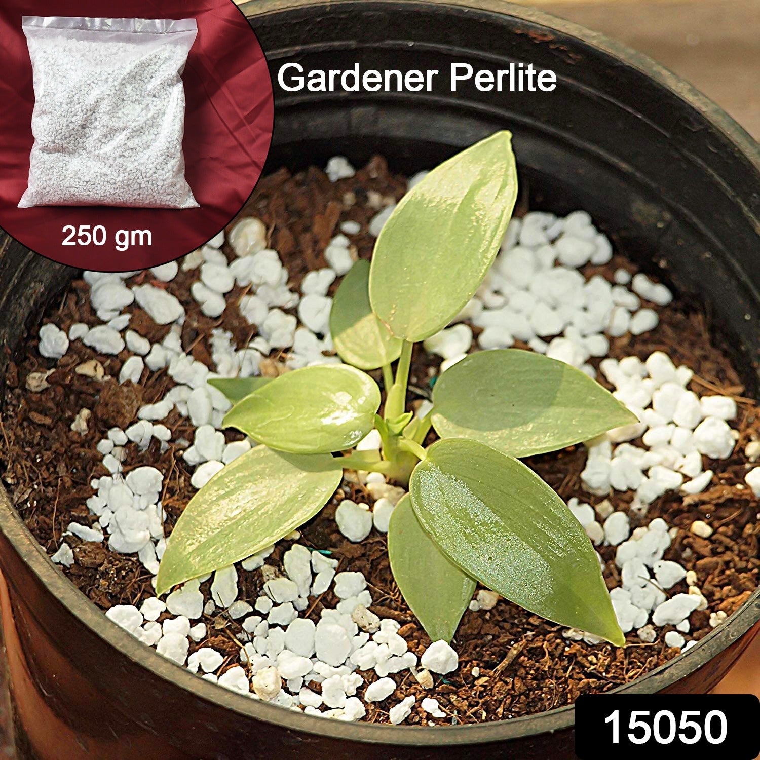Wukusy Paradise Perlite for hydroponics and terrace gardening soil conditioner, 250g, showing white porous perlite granules in a garden setting.