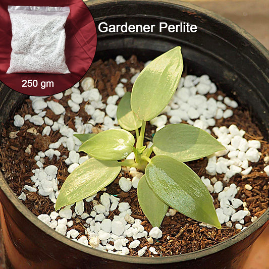 Wukusy Paradise Perlite for hydroponics and terrace gardening, 250g soil conditioner, white expanded volcanic rock in a garden setting