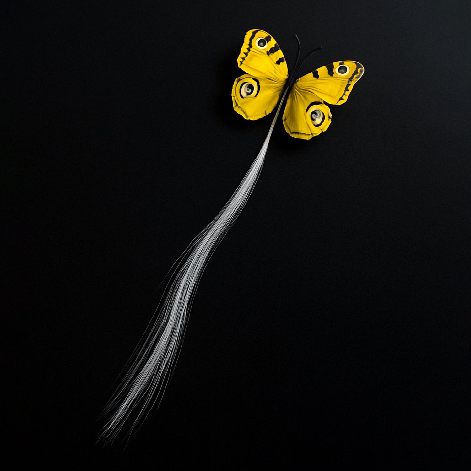 Wukusy LED butterfly hair braid clip in assorted colors, perfect for styling and adding a decorative touch to hair.