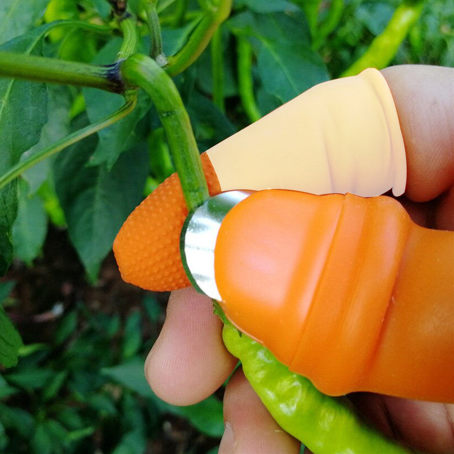 Wukusy vegetable thumb cutter and tool set with five sharp, effective blades for precise home improvement food prep.