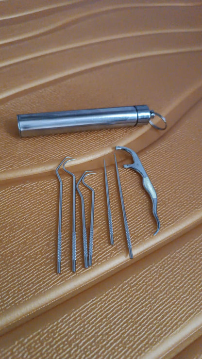Wukusy 7-in-1 stainless steel toothpick flossers set with case, compact home improvement dental hygiene tools displayed in the image.