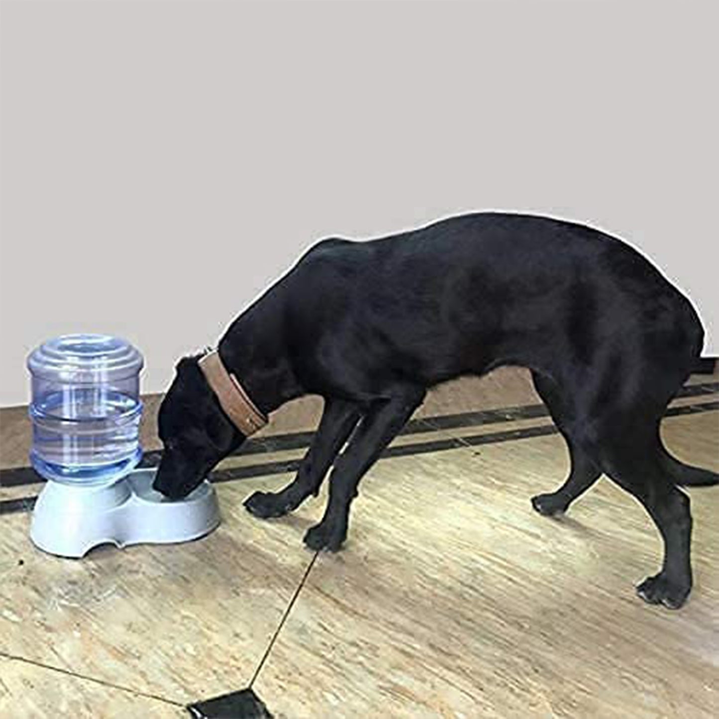 Wukusy automatic pet water dispenser for cats and dogs, self-dispensing gravity feeder with drinking water bowl for home use.