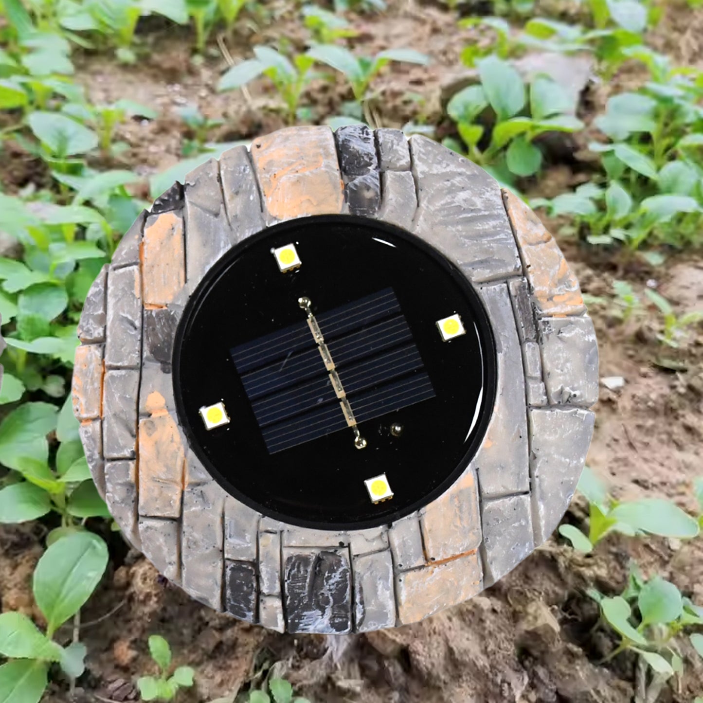 Two Wukusy heavy-duty outdoor solar disk lights with four LED bulbs each, designed for pathway illumination on slate surfaces.