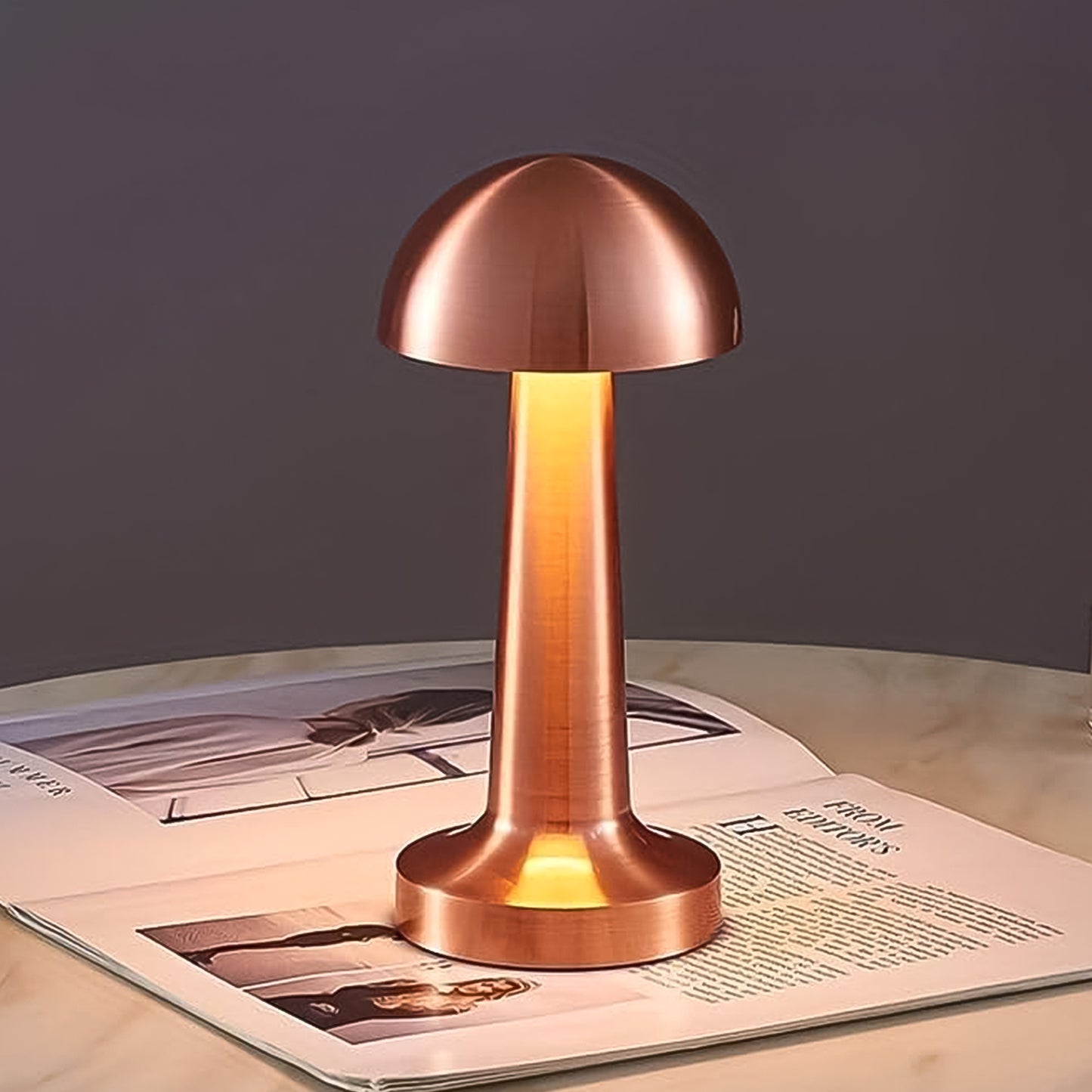 Wukusy portable metal LED desk lamp with touch control, decorative home improvement lighting for modern workspaces and bedside tables.
