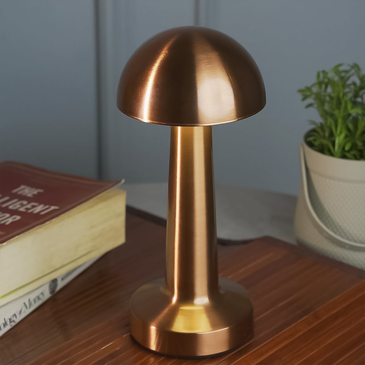 Wukusy LED desk lamp with touch control, portable metal design, decorative table lamp for home improvement.