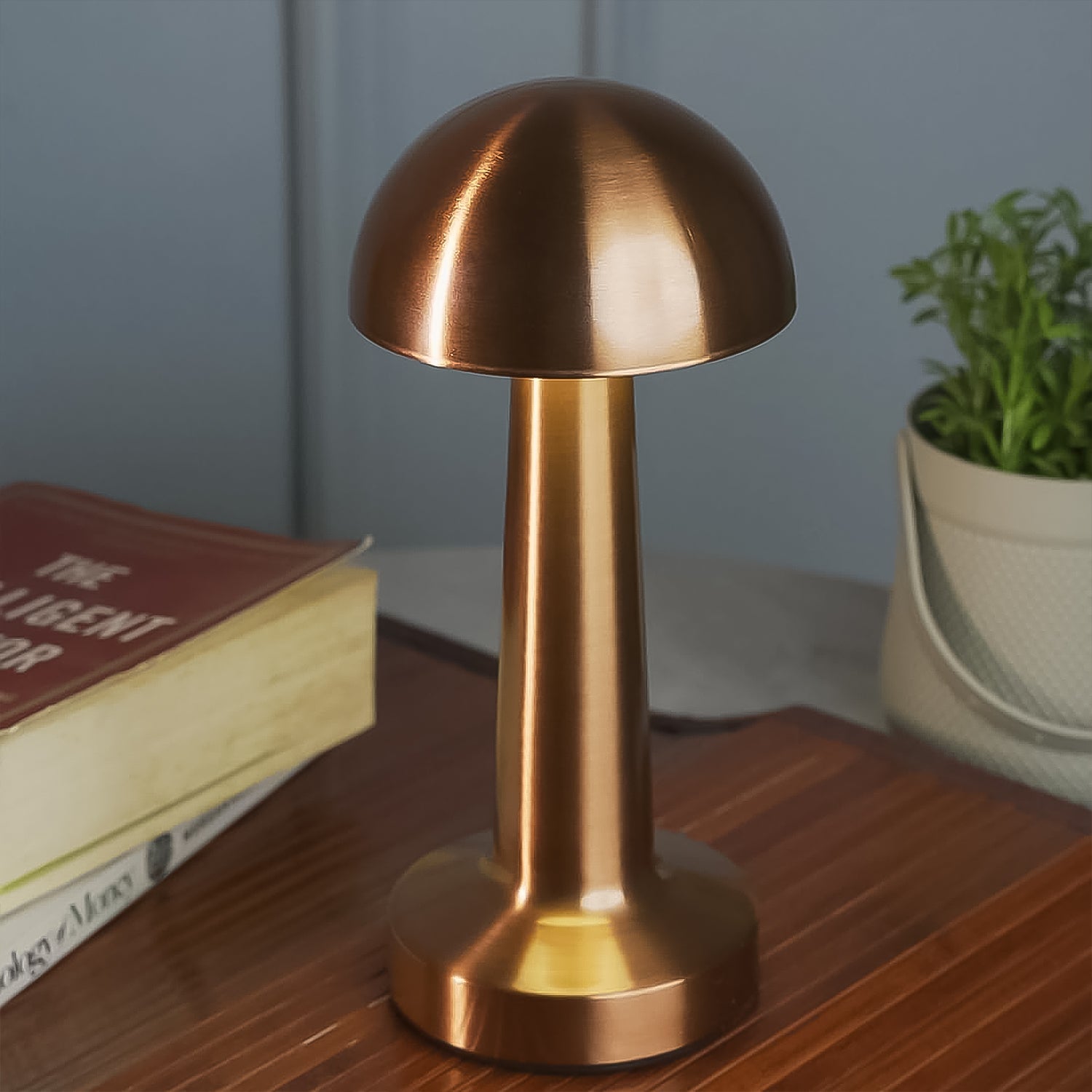 Wukusy LED desk lamp with touch control, portable metal design, decorative table lamp for home improvement.