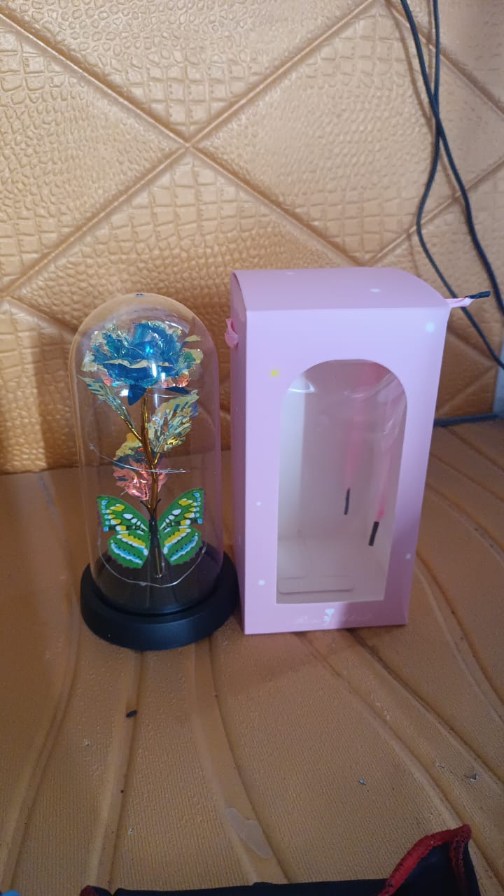 Wukusy LED-powered eternal rose in clear plastic dome, decorative floral home improvement piece, battery not included.