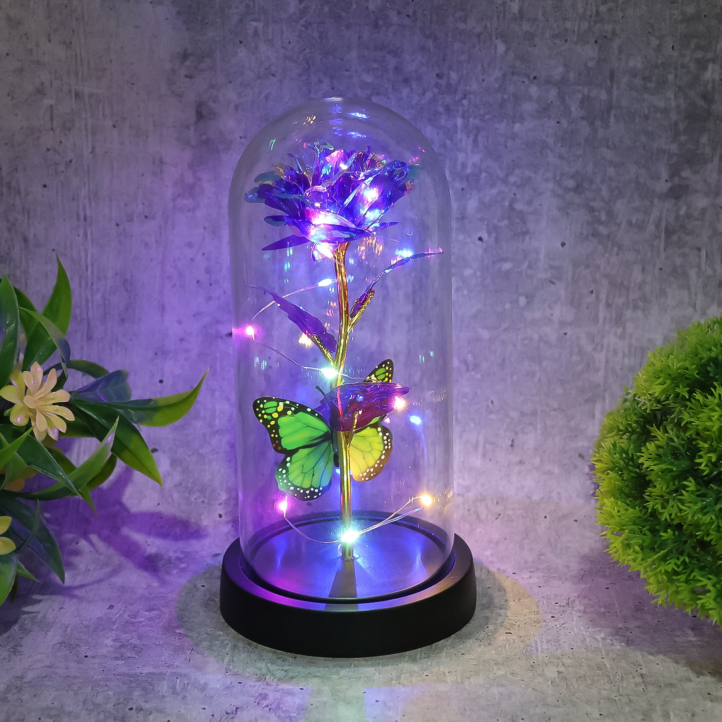 Led preserved rose with colorful butterfly in clear plastic dome, decorative floral home improvement accent by Wukusy.