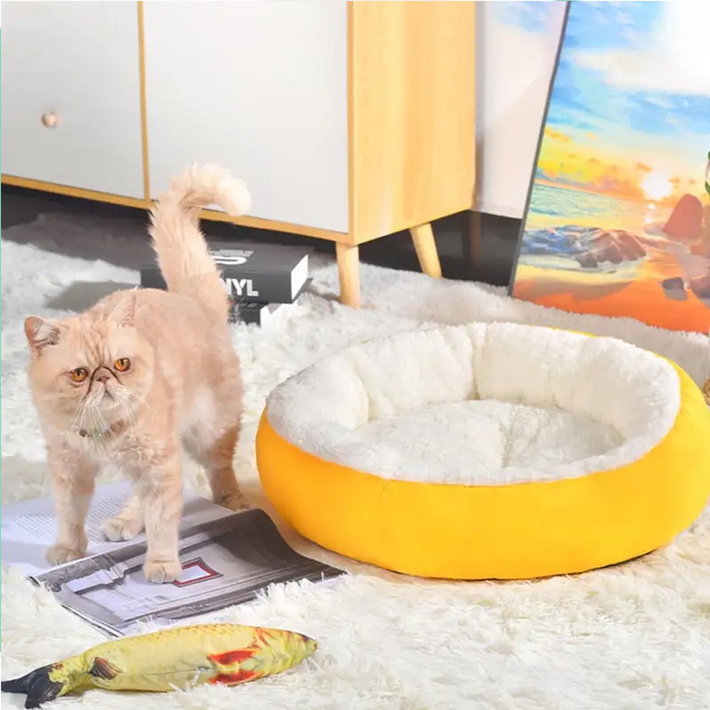 Wukusy pet dog bed with thickened design, mixed color, and comfortable mat for small to medium dogs.