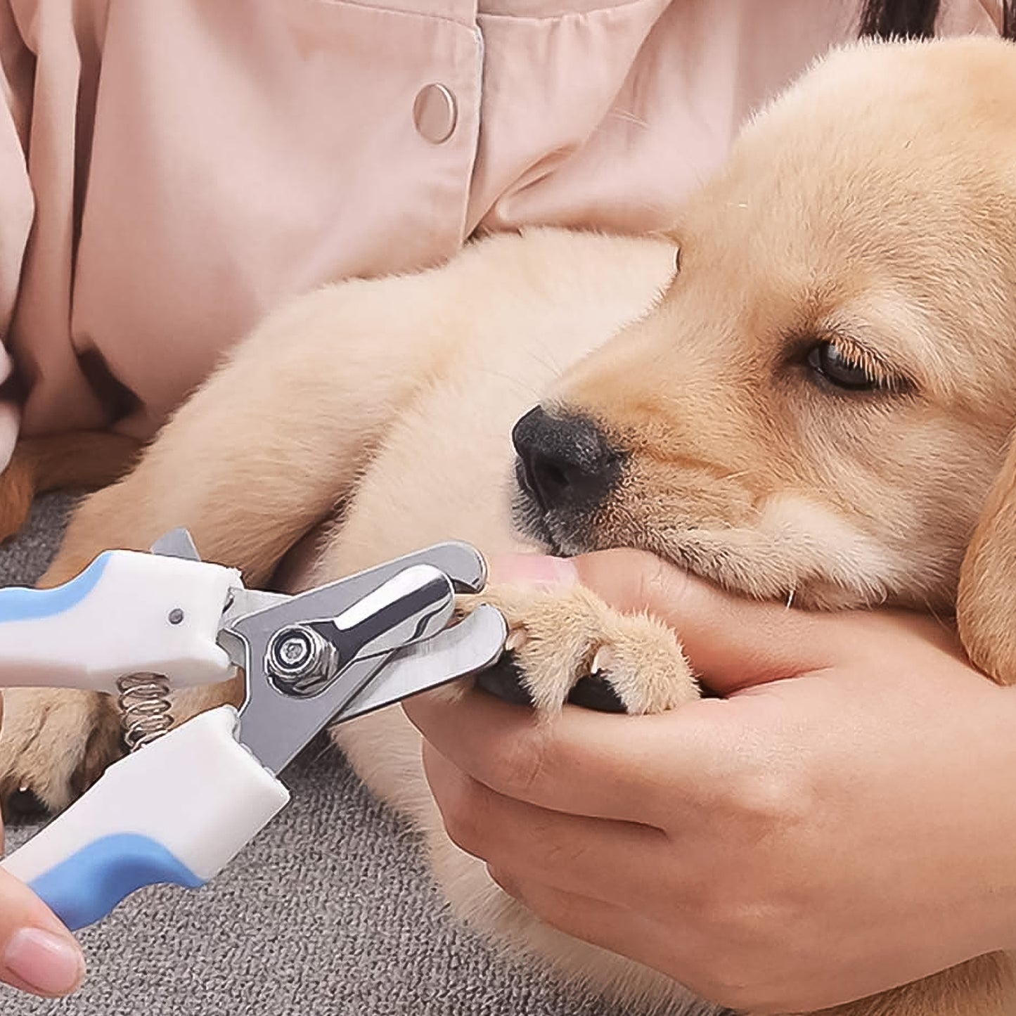 Wukusy pet nail clipper and nail file grooming kit for dogs and cats, including a nail clipper and file for home pet grooming.