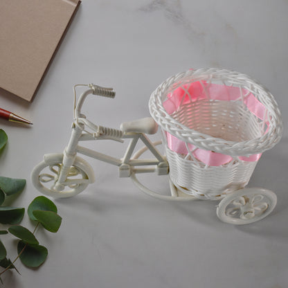 Plastic bicycle-shaped flower vase for home decor, Wukusy cycle flower pot stand, decorative flower holder for indoor use.